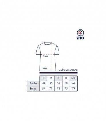 copy of METEORITO ROSA